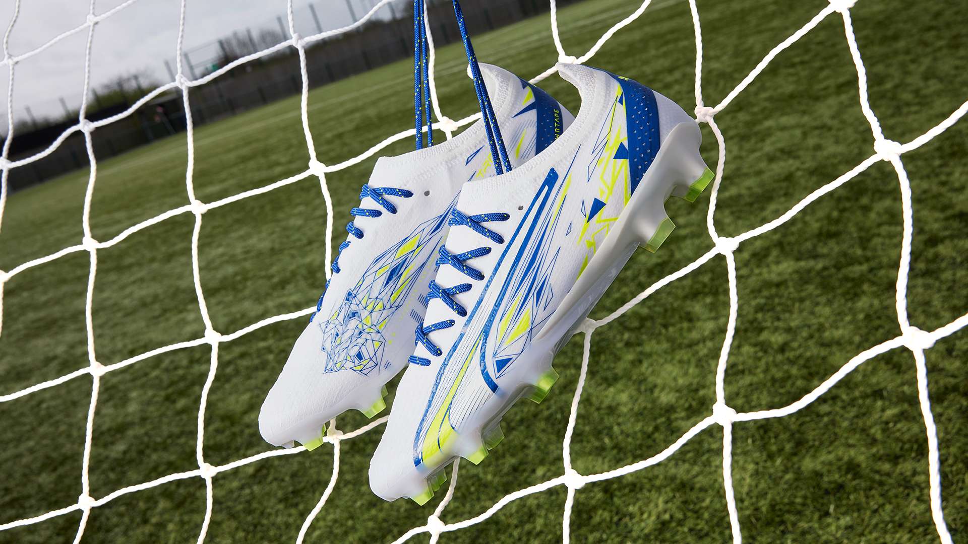 尽管前总监 尽管前总监