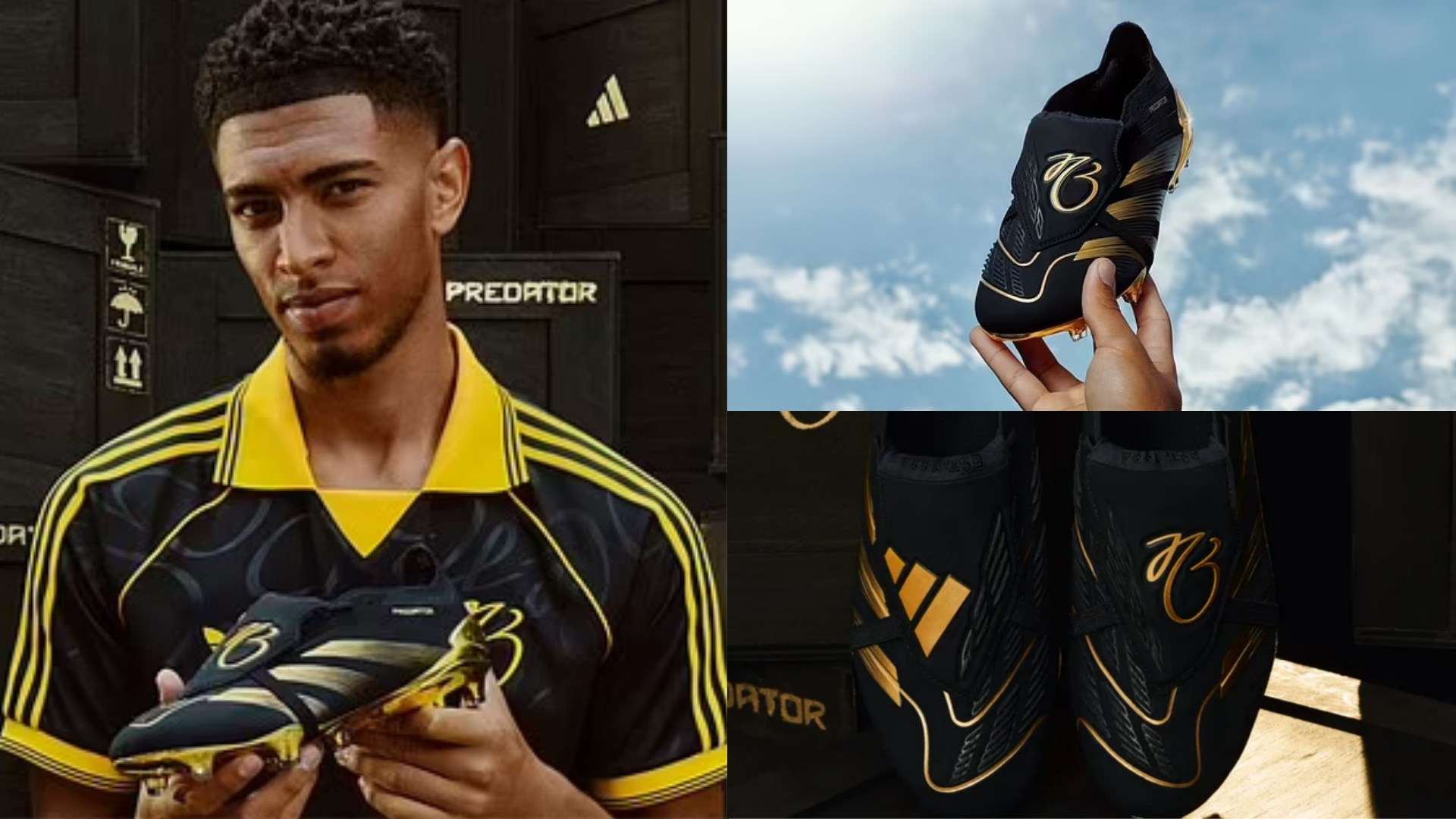 让观众受益 让观众受益