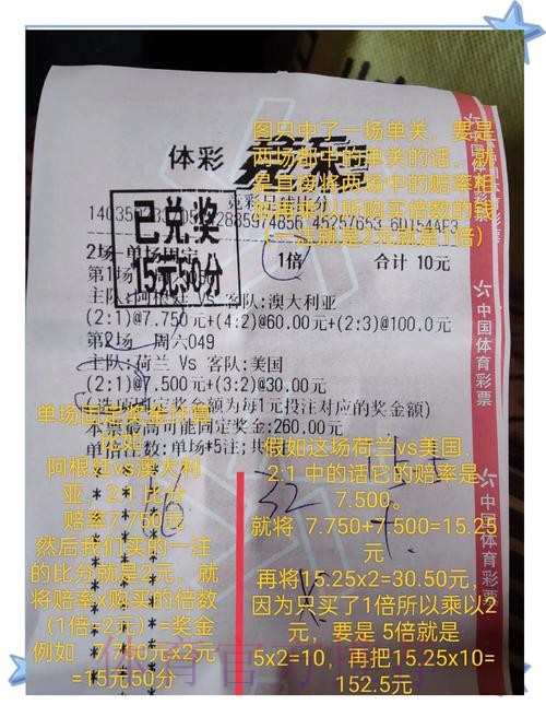 世界杯投注入口的风险与收益评估 世界杯投注入口的风险与收益评估